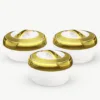 "Hisense gold finish hot pot set – insulated 3-piece unbreakable body"