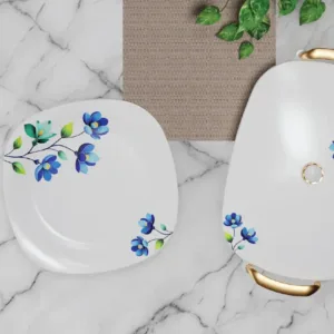 "Vision melamine dinner set with elegant double glaze finish"